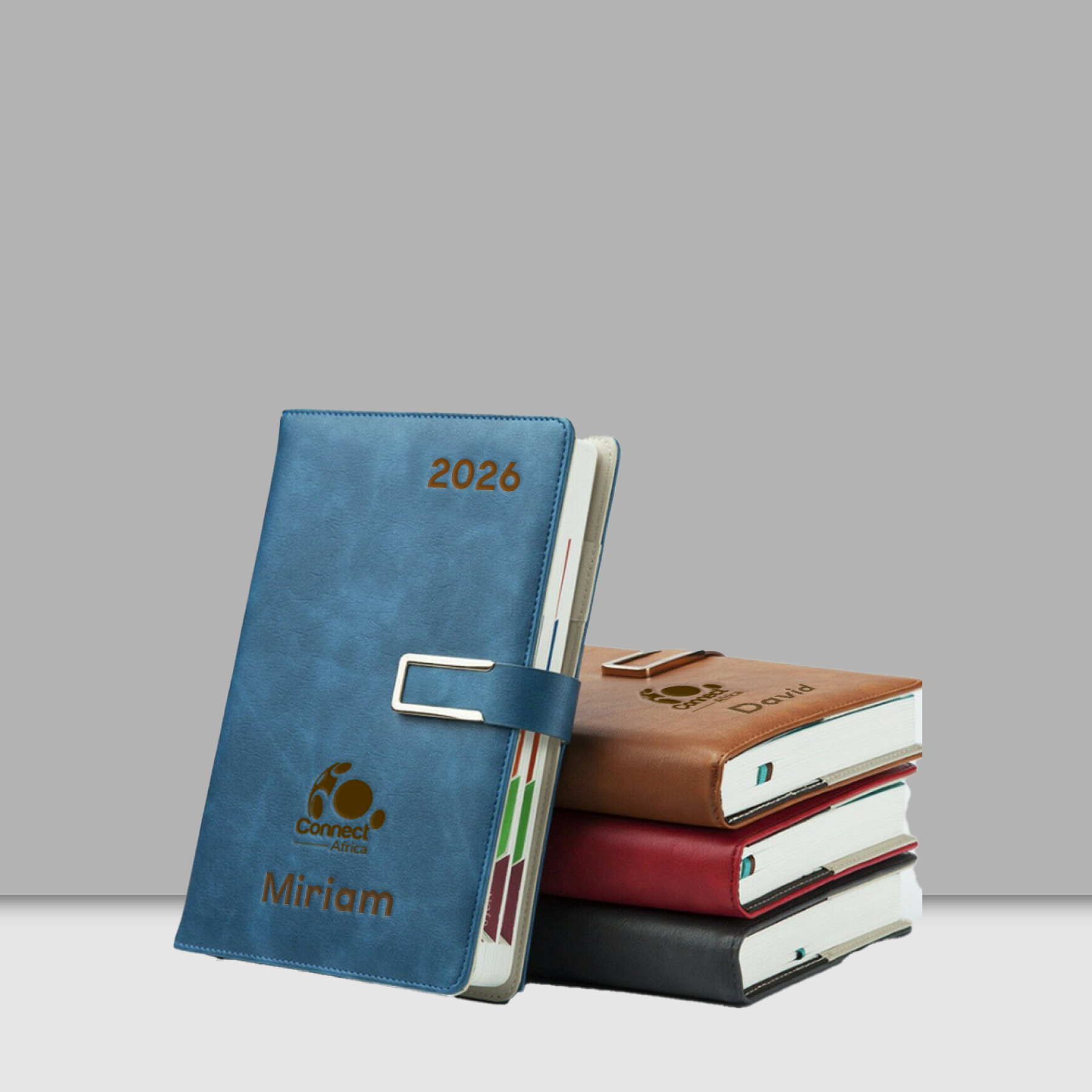 Diaries